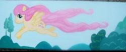 Size: 948x393 | Tagged: safe, artist:equestriapaintings, fluttershy, pegasus, pony, photo, solo, traditional art