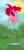 Size: 936x1920 | Tagged: safe, artist:egriz, pinkie pie, earth pony, pony, jumping, solo, trampoline