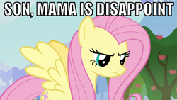 Size: 640x360 | Tagged: safe, edit, edited screencap, screencap, fluttershy, pegasus, pony, keep calm and flutter on, disappoint, disappointed, fluttermom, image macro, solo