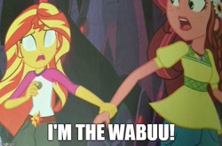 Size: 759x500 | Tagged: safe, edit, edited screencap, screencap, gloriosa daisy, sunset shimmer, equestria girls, legend of everfree, dingo pictures, legend of everfree – save our camp, phelous, wabuu