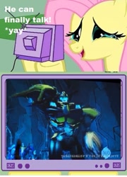 Size: 399x553 | Tagged: safe, fluttershy, pegasus, pony, beast hunters, bumblebee, exploitable meme, hub logo, meme, obligatory pony, predacons rising, transformers, transformers prime, tv meme