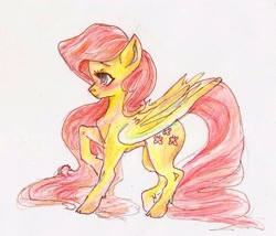 Size: 1195x1023 | Tagged: safe, artist:youmywaywardgirl, fluttershy, pegasus, pony, female, mare, solo, traditional art