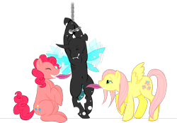 Size: 1134x791 | Tagged: safe, artist:grammarshinehyena, fluttershy, pinkie pie, changeling, earth pony, pegasus, pony, bondage, feather, femdom, flutterdom, suspended, tickle torture, tickling