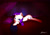 Size: 1412x1000 | Tagged: safe, artist:camaine, rarity, pony, unicorn, bed, pillow, pose, solo