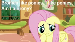 Size: 1280x718 | Tagged: safe, fluttershy, pegasus, pony, brony, female, image macro, mare, solo