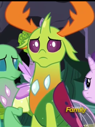 Size: 808x1080 | Tagged: safe, screencap, starlight glimmer, thorax, changedling, changeling, pony, unicorn, to change a changeling, changeling hive, cropped, cute, cuteling, discovery family logo, floppy ears, king thorax, sad, sadorable, solo focus, thorabetes