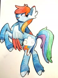 Size: 1757x2359 | Tagged: safe, artist:penny-wren, derpibooru import, rainbow dash, pegasus, pony, female, flying, mare, smiling, solo, traditional art, unshorn fetlocks, watercolor painting