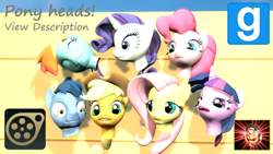 Size: 1360x768 | Tagged: safe, artist:benno950, derpibooru import, applejack, fluttershy, pinkie pie, rainbow dash, rarity, twilight sparkle, earth pony, pegasus, pony, unicorn, 3d, body parts, gmod, head, mane six