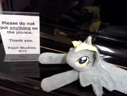 Size: 2560x1920 | Tagged: safe, derpy hooves, pegasus, pony, bronies nyc, female, first world anarchist, mare, maverick, merchandise, piano, rebel