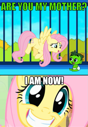 Size: 479x692 | Tagged: safe, fluttershy, pegasus, pony, beast boy, fluttermom, smiling, teen titans, teen titans go