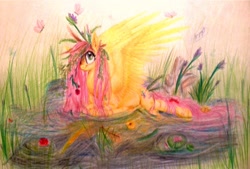 Size: 1280x866 | Tagged: safe, artist:fmayang, fluttershy, pegasus, pony, solo, traditional art, water