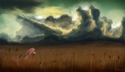 Size: 1000x579 | Tagged: safe, artist:psychoanalytic, fluttershy, pegasus, pony, field, scenery, solo, storm