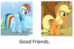 Size: 876x582 | Tagged: safe, derpibooru import, applejack, rainbow dash, earth pony, pegasus, pony, friendshipping, truth