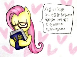 Size: 548x406 | Tagged: safe, fluttershy, pegasus, pony, female, flutter-nerd, korean, mare, solo