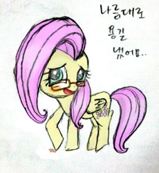 Size: 379x412 | Tagged: safe, fluttershy, pegasus, pony, female, flutter-nerd, korean, mare, solo