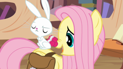 Size: 1023x574 | Tagged: safe, screencap, angel bunny, fluttershy, pegasus, pony, just for sidekicks, female, mare