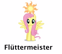 Size: 1871x1619 | Tagged: safe, fluttershy, pegasus, pony, alcohol, cutie mark, german, jagermeister, logo, solo, text