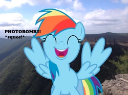 Size: 1024x763 | Tagged: safe, artist:didgereethebrony, derpibooru import, rainbow dash, pony, didgeree collection, irl, kanangra boyd national park, mlp in australia, photo, photobomb, ponies in real life, solo, squee