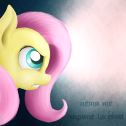 Size: 894x894 | Tagged: safe, artist:zirbronium, fluttershy, pegasus, pony, female, mare, pink mane, solo, yellow coat