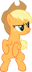 Size: 2000x4408 | Tagged: safe, artist:kopachris, applejack, earth pony, pony, the last roundup, applejack is not amused, female, frown, mare, simple background, solo, transparent background, unamused, vector