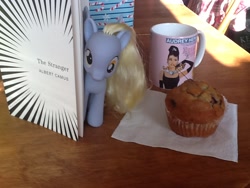 Size: 960x720 | Tagged: safe, derpy hooves, pegasus, pony, book, fashion style, female, irl, mare, muffin, mug, photo, solo, toy