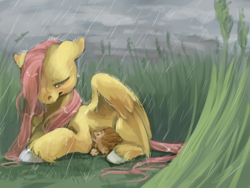 Size: 800x600 | Tagged: safe, artist:wyshlexia, fluttershy, hedgehog, pegasus, pony, animal, grass, lying down, rain, unshorn fetlocks, wet mane