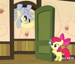 Size: 425x363 | Tagged: safe, apple bloom, derpy hooves, pegasus, pony, somepony to watch over me, apple closet, door, exploitable meme, female, mare, meme