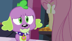 Size: 610x343 | Tagged: safe, screencap, fluttershy, rarity, spike, dog, equestria girls, equestria girls (movie), animated, boots, carousel boutique, faic, gif, happyshy, high heel boots, jewelry, smiling, so fucking happy, spike the dog