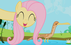 Size: 700x444 | Tagged: safe, screencap, fluttershy, bird, pegasus, pony, animal, bittern, eyes closed, female, happy, long neck, mare, neck, open mouth