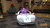 Size: 1024x576 | Tagged: safe, rarity, 3d, kart, modnation racers, no pony, solo, star-cut generosity