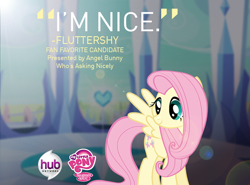 Size: 850x628 | Tagged: safe, fluttershy, pegasus, pony, best pony contest, hub logo, hub network, hubble, logo, my little pony logo, official, poll, promo, quote, solo, text, the hub