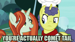 Size: 1280x720 | Tagged: safe, edit, edited screencap, editor:jaredking203, screencap, crackle cosette, queen chrysalis, changeling, changeling queen, pony, unicorn, the ending of the end, caption, disguised changeling, duo, female, image macro, implied comet tail, male, meme, stallion, stove comet, text