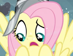 Size: 925x711 | Tagged: safe, screencap, fluttershy, private pansy, pegasus, pony, hearth's warming eve (episode), hearth's warming eve, solo