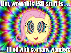 Size: 960x720 | Tagged: safe, fluttershy, pegasus, pony, female, flutterhigh, image macro, lsd, mare