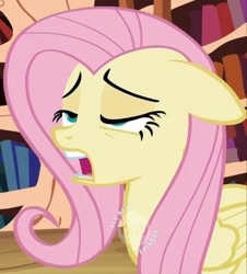 Size: 500x552 | Tagged: safe, screencap, fluttershy, pegasus, pony, hub logo, out of context, solo