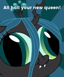 Size: 600x720 | Tagged: safe, artist:blanishna, queen chrysalis, changeling, changeling queen, caption, derp face, female, hey you, image macro, meme, solo, sunburst background, text
