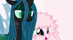 Size: 496x272 | Tagged: safe, artist:mixermike622, queen chrysalis, oc, oc:fluffle puff, changeling, changeling queen, pony, excited, female, fluffy, hooves on face, lowres, pink background, queen chrysalis is not amused, simple background, unamused