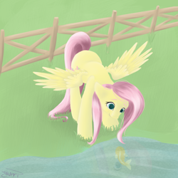 Size: 4800x4800 | Tagged: safe, artist:emiliearts, fluttershy, fish, pegasus, pony, absurd resolution, fence, solo, water