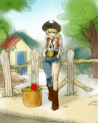 Size: 1280x1600 | Tagged: safe, artist:dawkinsia, applejack, apple, basket, belt, clothes, cowboy vest, fence, humanized, solo, torn clothes