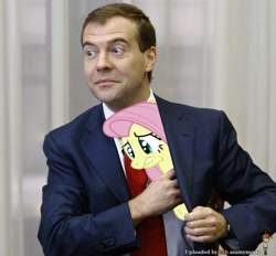 Size: 610x565 | Tagged: safe, fluttershy, human, dmitry medvedev, irl, irl human, photo, russian