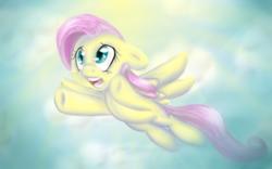 Size: 1440x900 | Tagged: safe, artist:xtime-warpedx, fluttershy, pegasus, pony, flying, sky, solo