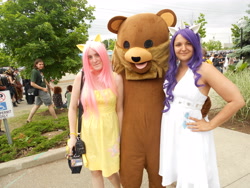 Size: 4320x3240 | Tagged: safe, artist:tehtig3r, fluttershy, rarity, human, clothes, cosplay, costume, crossover, irl, irl human, pedobear, photo