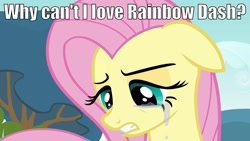 Size: 1280x720 | Tagged: safe, edit, edited screencap, screencap, fluttershy, pegasus, pony, hurricane fluttershy, crying, female, floppy ears, image macro, implied flutterdash, implied lesbian, implied shipping, op is trying to start shit, solo