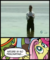 Size: 392x468 | Tagged: safe, fluttershy, pegasus, pony, blue coat, blue eyes, dialogue, discovery channel, exploitable meme, female, jamie hyneman, looking up, mare, meme, multicolored tail, mythbusters, nature is so fascinating, obligatory pony, pink coat, pink mane, smiling, speech bubble, the wild hyneman, wings, yellow coat, youtube link