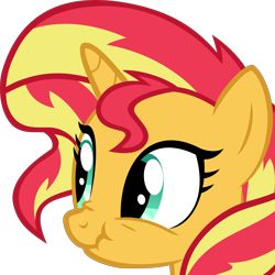 Size: 4384x4384 | Tagged: safe, artist:vesdew, sunset shimmer, pony, unicorn, absurd resolution, cute, female, mare, scrunchy face, shimmerbetes, simple background, solo, transparent background, vector