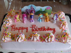 Size: 4000x3000 | Tagged: safe, derpibooru import, applejack, fluttershy, pinkie pie, rainbow dash, rarity, twilight sparkle, twilight sparkle (alicorn), alicorn, pony, birthday, birthday cake, cake, female, irl, mane six, mare, photo