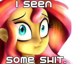 Size: 613x531 | Tagged: safe, artist:wubcakeva, sunset shimmer, equestria girls, grammar error, i've seen some shit, looking at you, scrunchy face, solo, vulgar