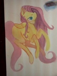 Size: 960x1280 | Tagged: safe, artist:squeamishjam, fluttershy, pegasus, pony, female, mare, solo, traditional art