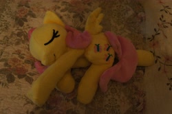 Size: 4592x3056 | Tagged: safe, artist:jessikitt-e, fluttershy, cute, irl, photo, plushie