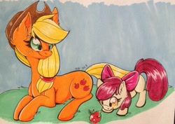 Size: 1463x1033 | Tagged: safe, artist:tigerplushie, apple bloom, applejack, earth pony, pony, female, mare, traditional art